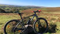 Why not enjoy the joy of the Tarka trail.