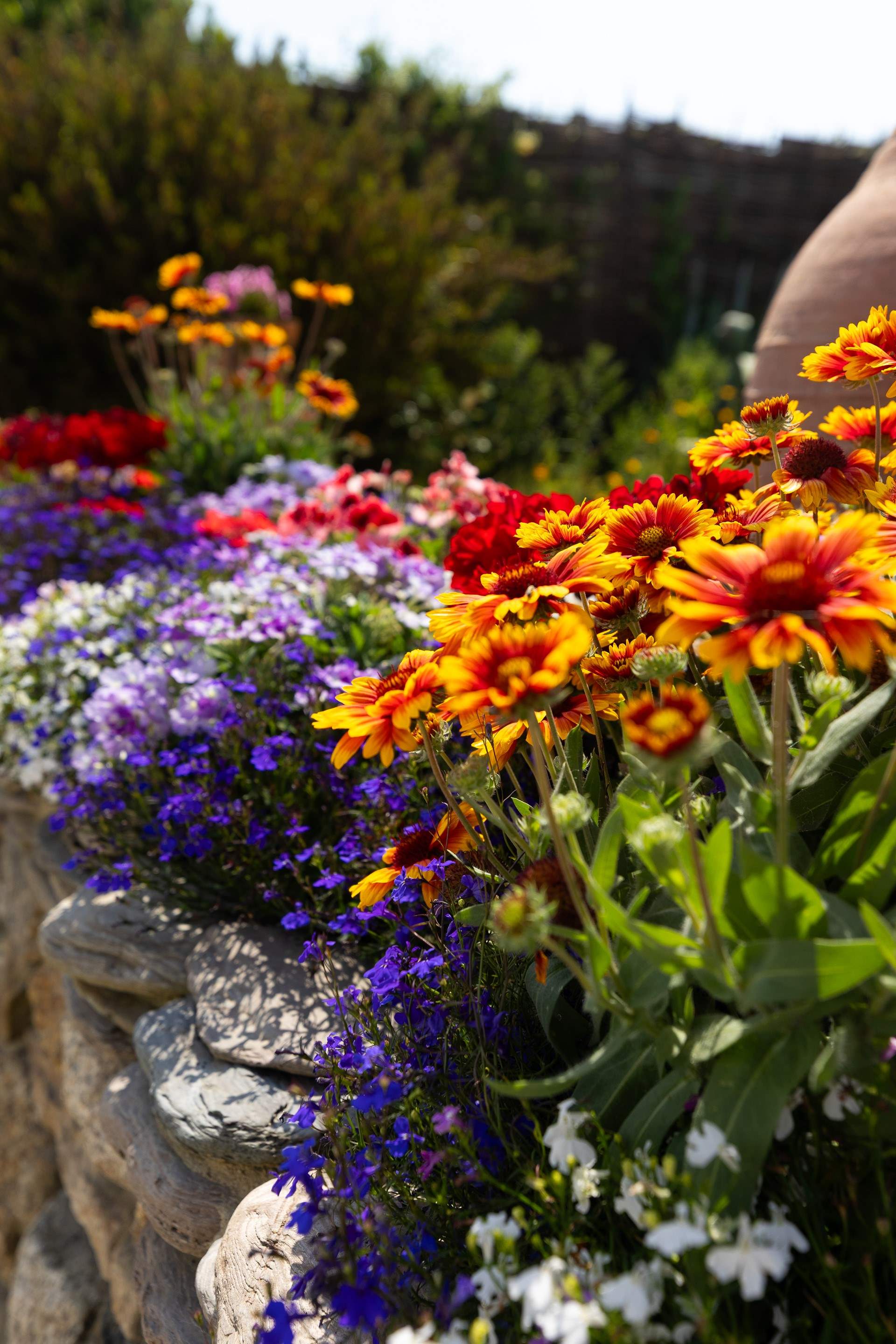 A flower-filled haven, each and every one planted by the current owner.