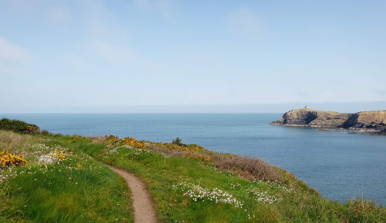 From The Beach House, follow the coast path to discover spectacular views. This section is above Abereiddy Beach. 