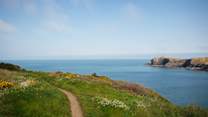 After a day on glorious Abereiddy beach return to the warmth of this characterful, seafaring cottage. 