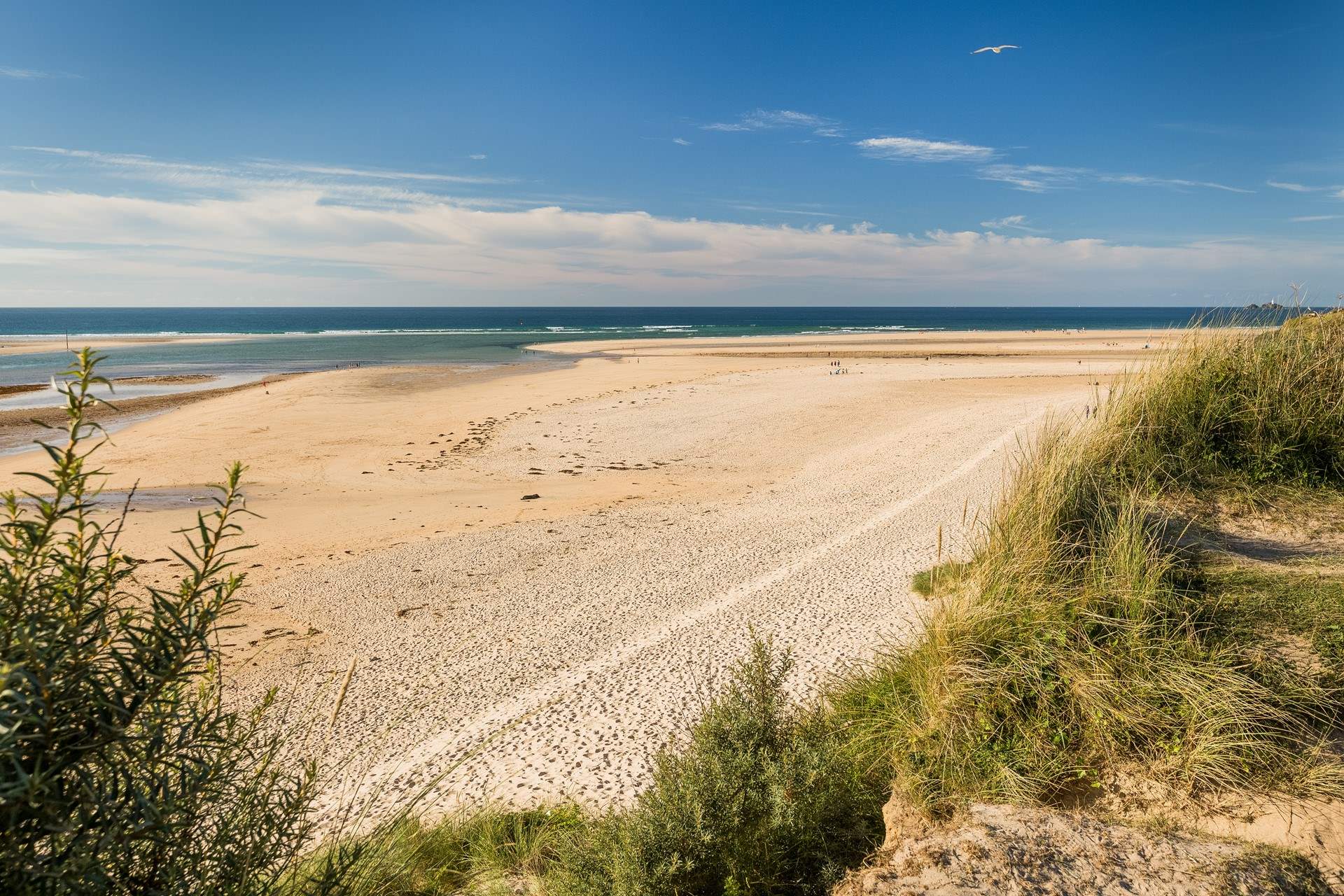 A perfect spot for a family day out and to walk your four-legged friend.