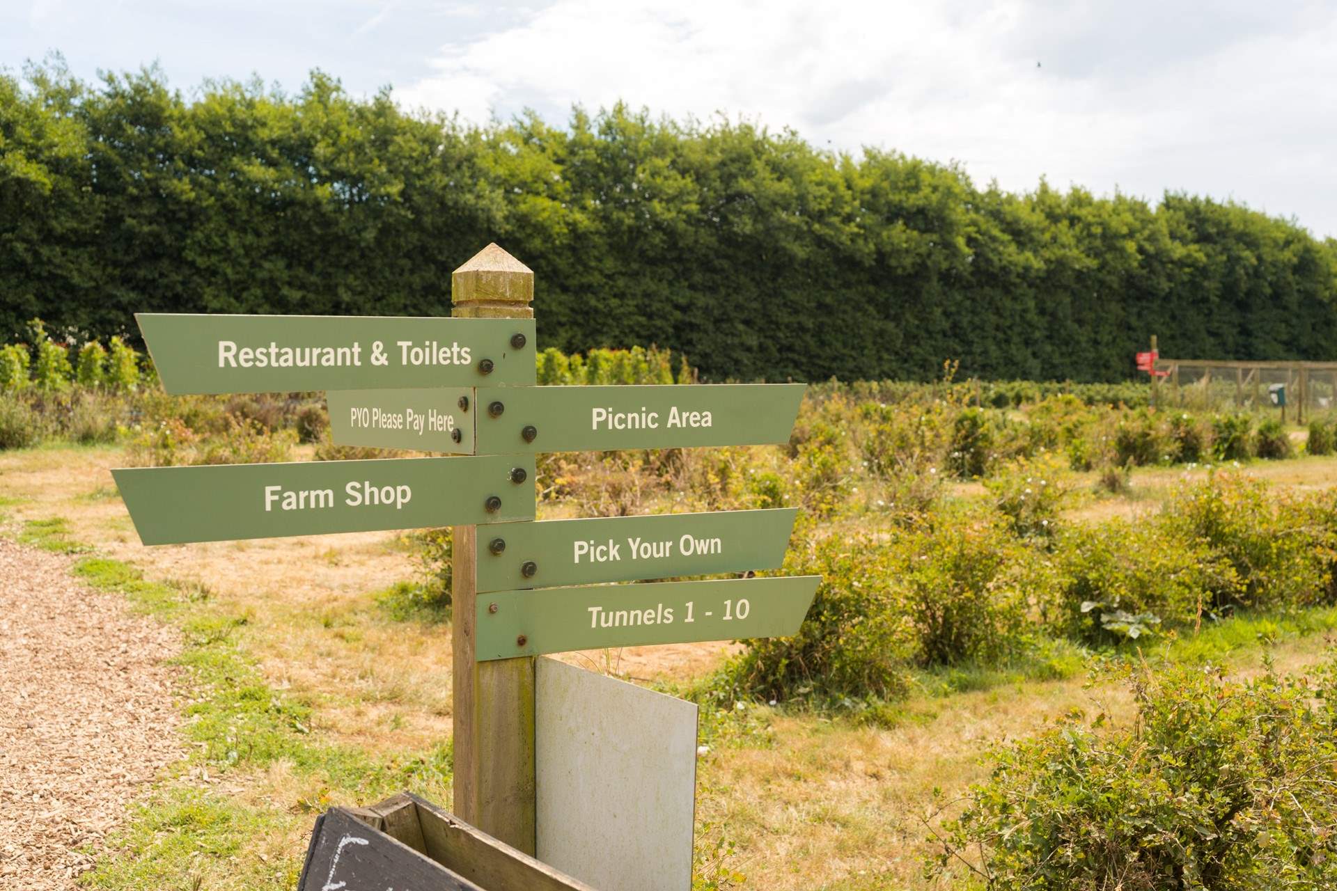 Trevaskis Farm has so much to offer all on your doorstep.
