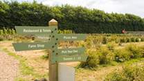Trevaskis Farm has so much to offer all on your doorstep.