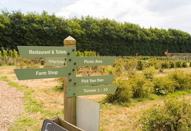 Trevaskis Farm has so much to offer all on your doorstep.