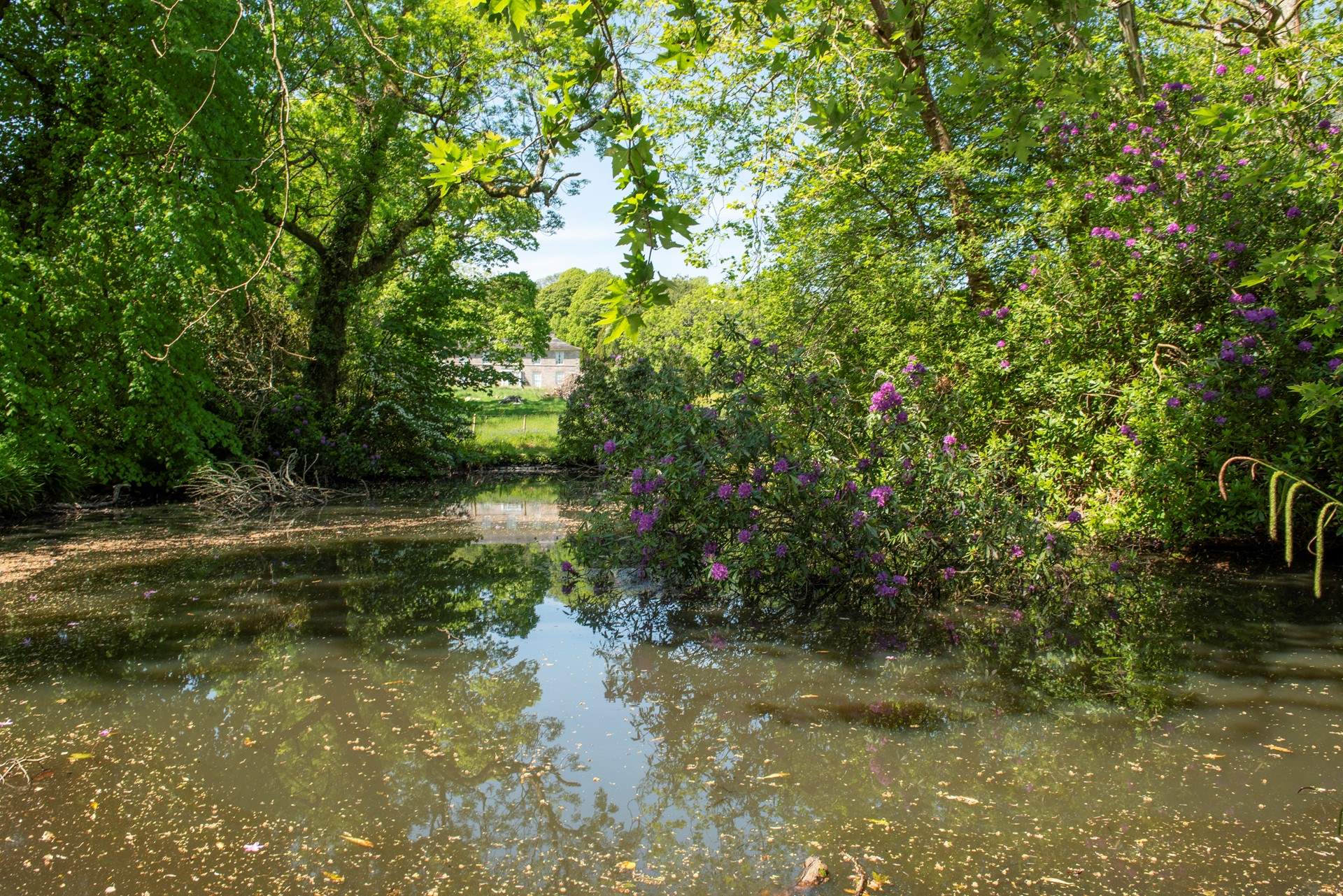 There is a small lake in the grounds, take care it is not fenced and keep dogs on a lead.