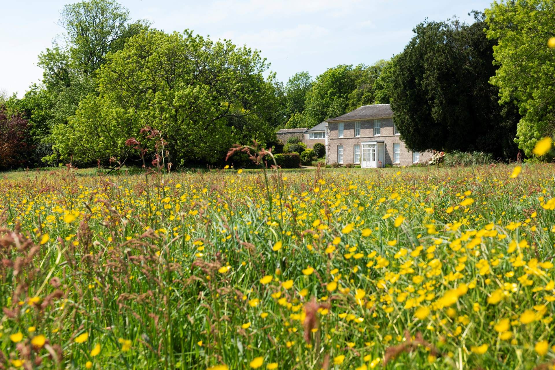 Nancealverne House is set in stunning grounds which guests can enjoy.