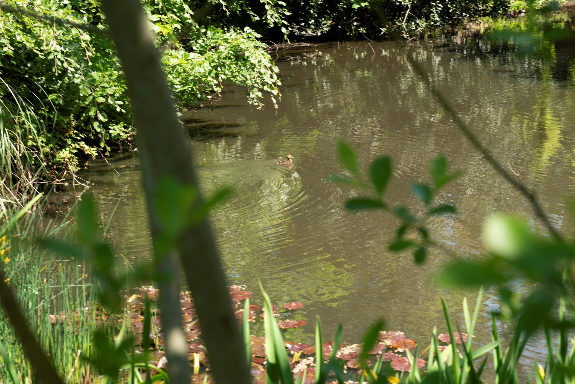 There is a lake in the grounds which is not fenced, take care and keep dogs on leads.