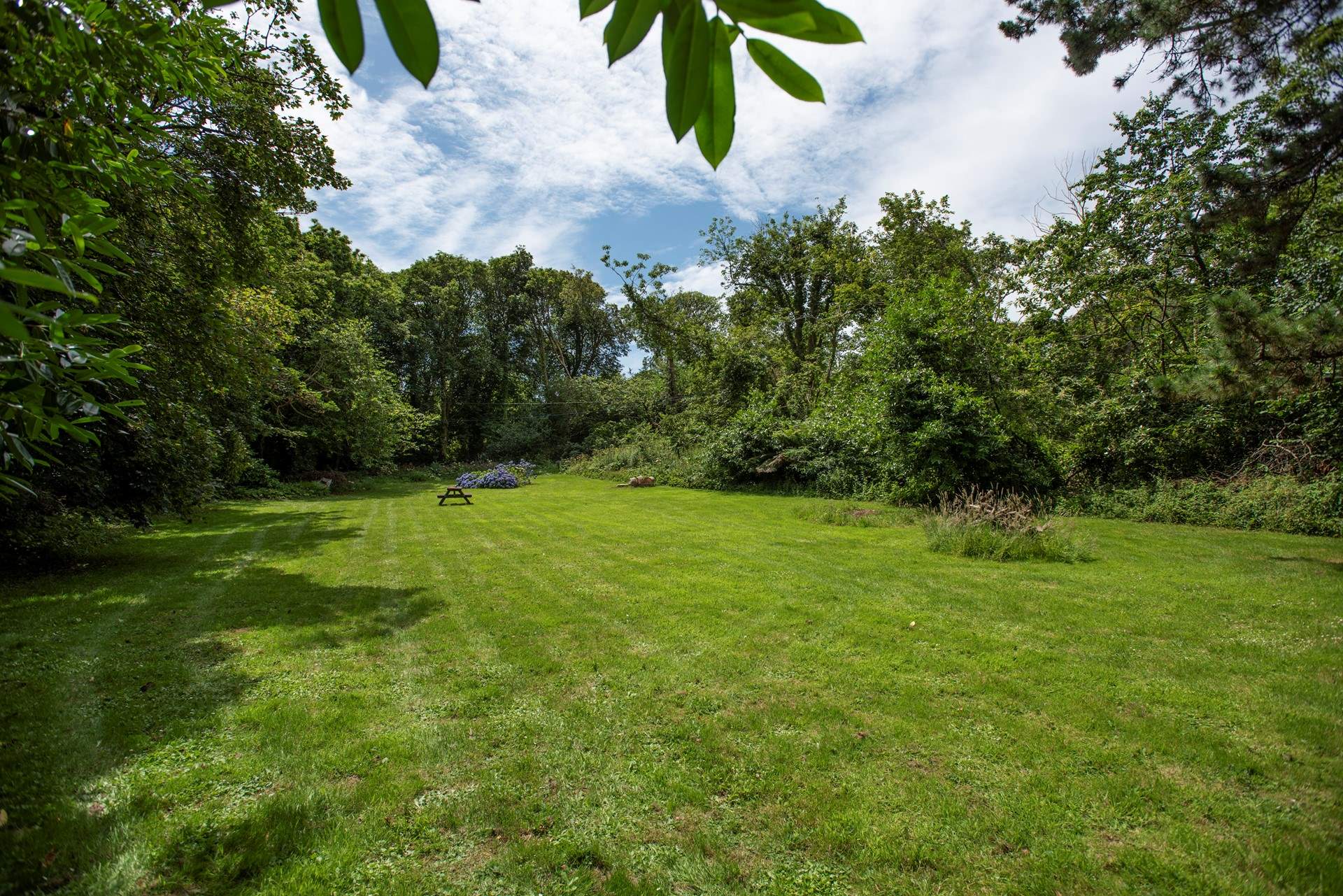 Your four-legged friend will love to run here!