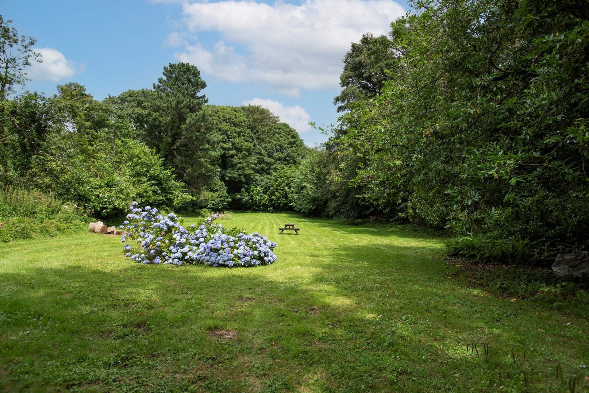 Guests have access to the beautiful wildlife haven, Spinney Field, opposite the house, plus an additional 22 acres of shared gardens and woodland.
