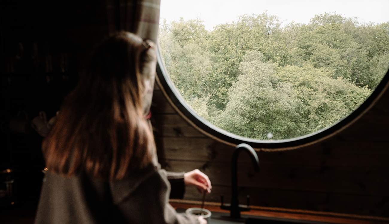 Morning coffees are framed by trees and stillness through the large round window.