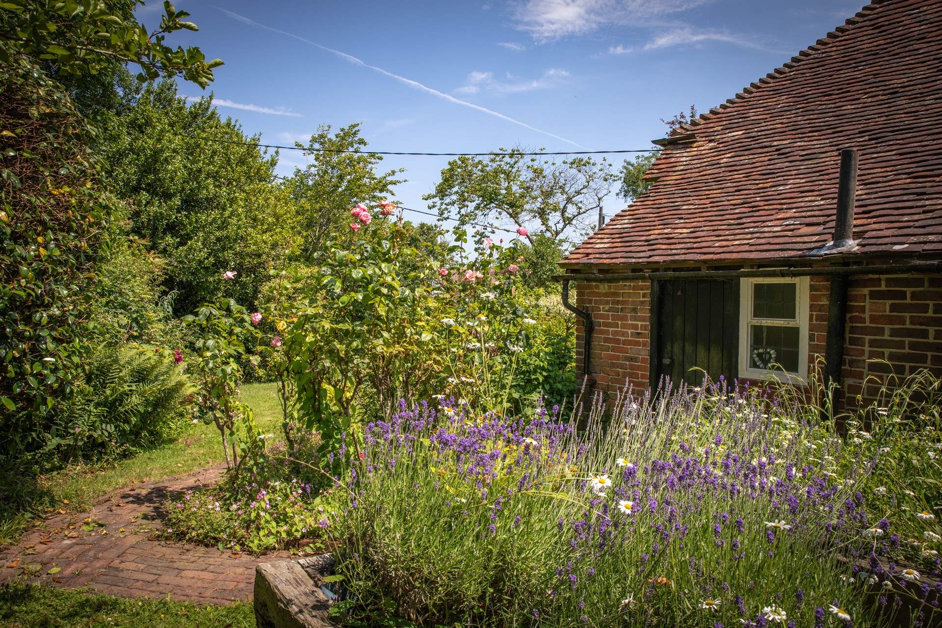 Gorgeous planting in the cottage garden.