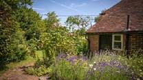 Gorgeous planting in the cottage garden.