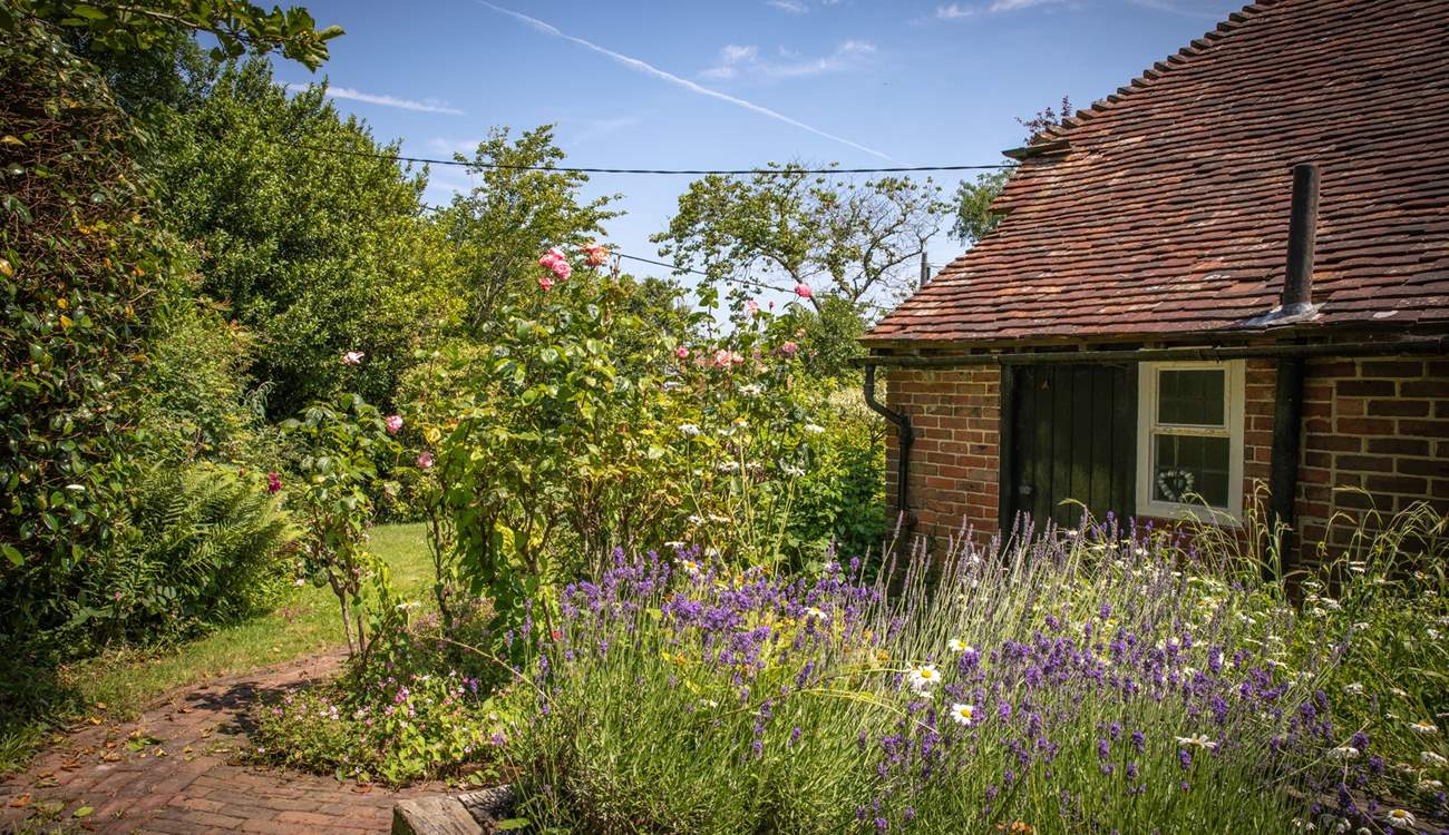 Gorgeous planting in the cottage garden.