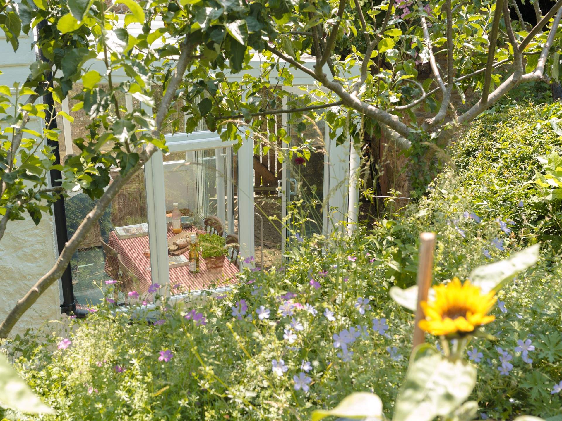 Glimpses down from the garden to the dining space in the sun-room.