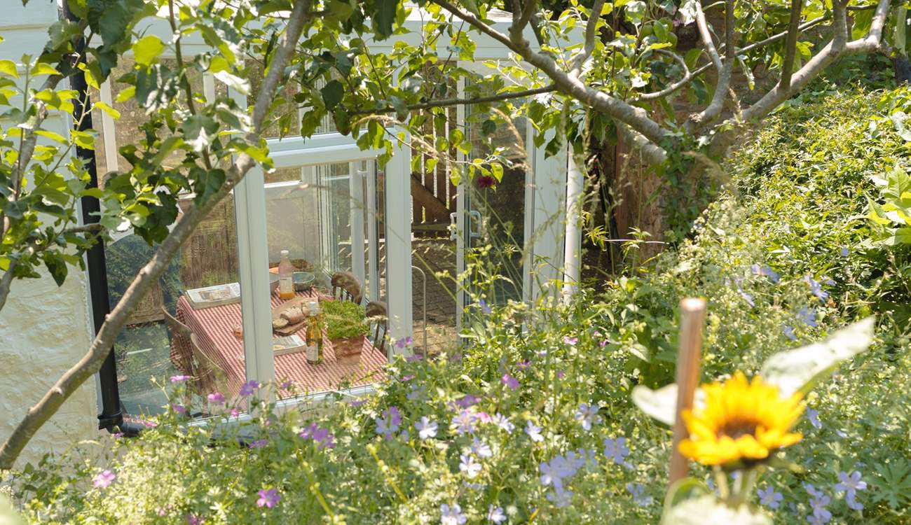 Glimpses down from the garden to the dining space in the sun-room.