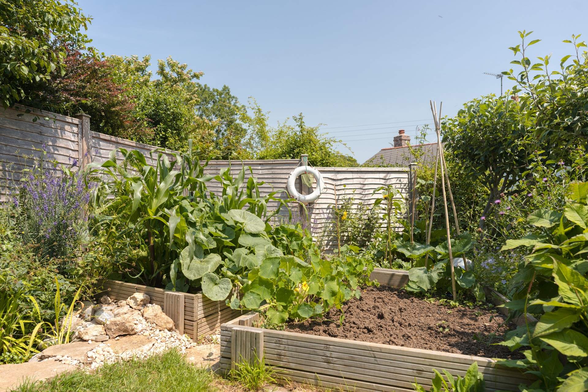 Clever landscaping creates shape and points of interest around every turn.