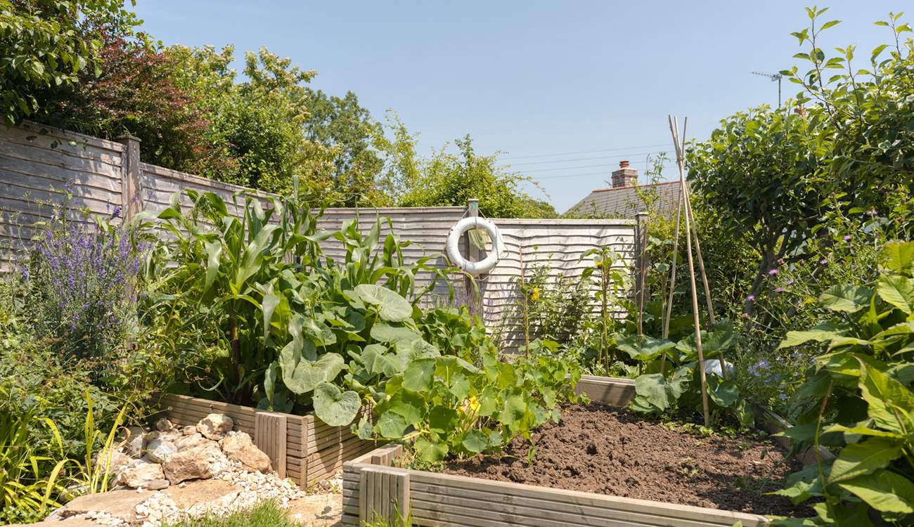 Clever landscaping creates shape and points of interest around every turn.