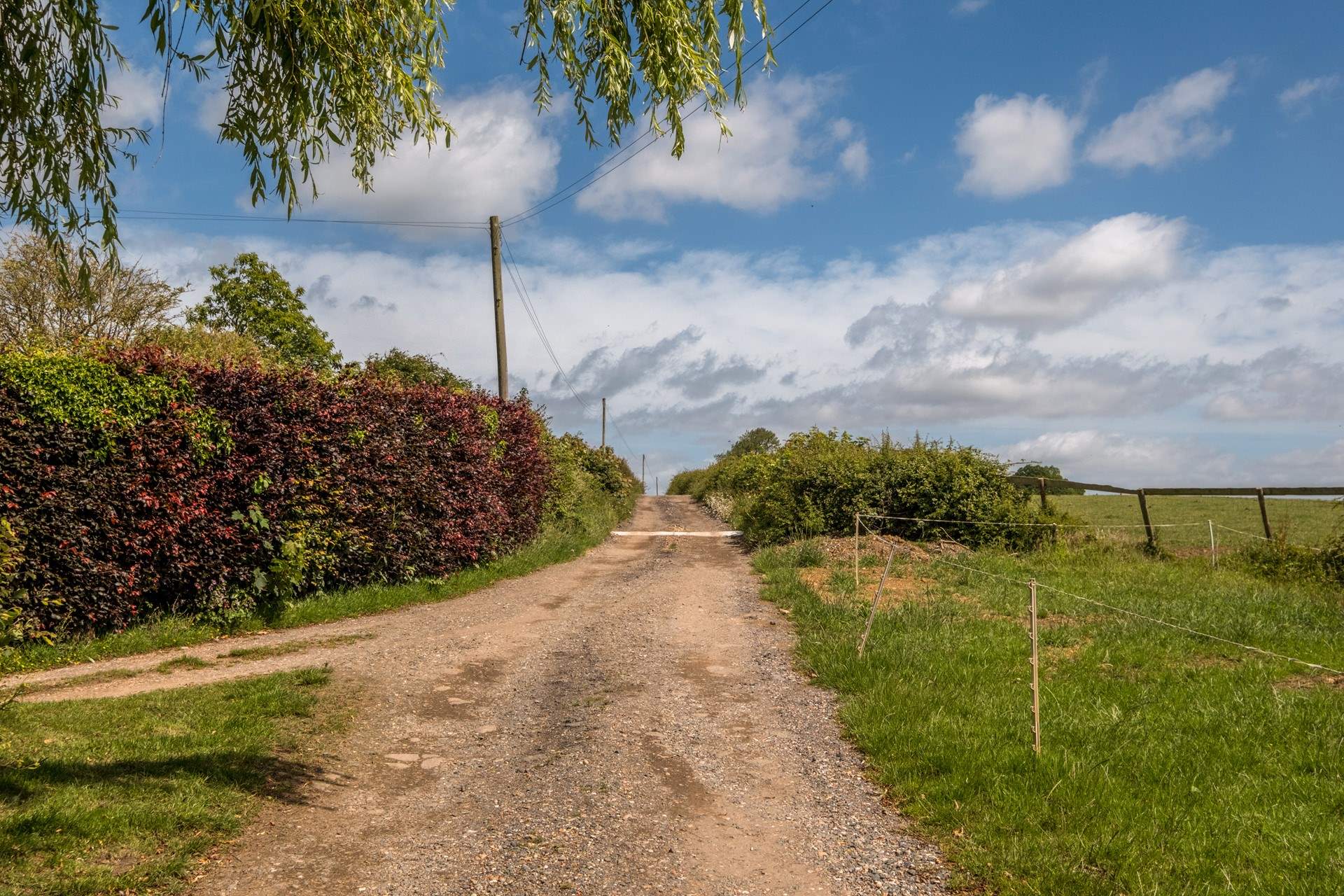 The track to The Old Tractor Shed.