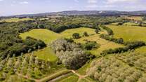 Plenty of footpaths to explore including the 1066 Country Walk.
