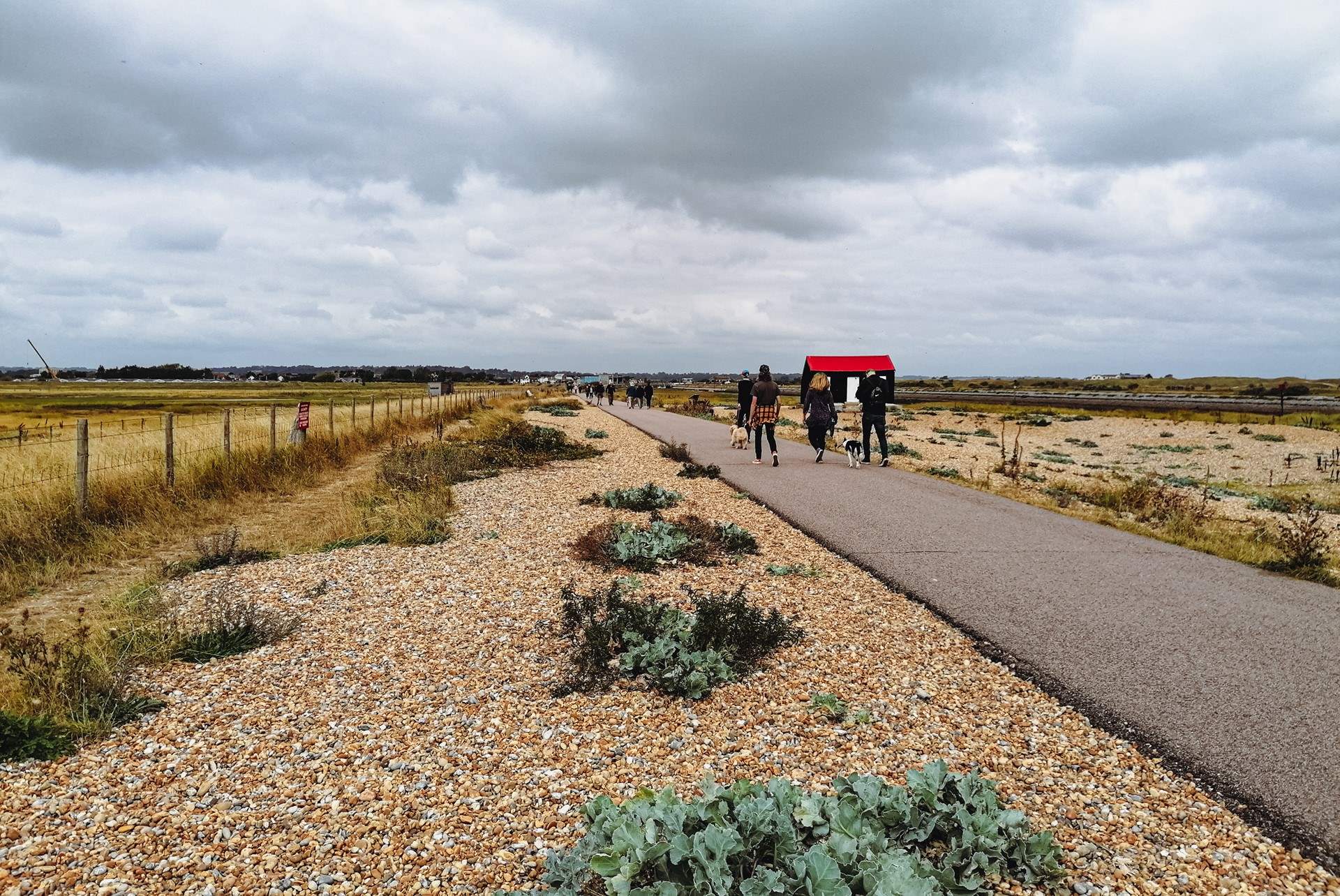 Take a stroll along Rye Nature Reserve.