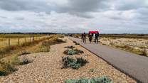 Take a stroll along Rye Nature Reserve.