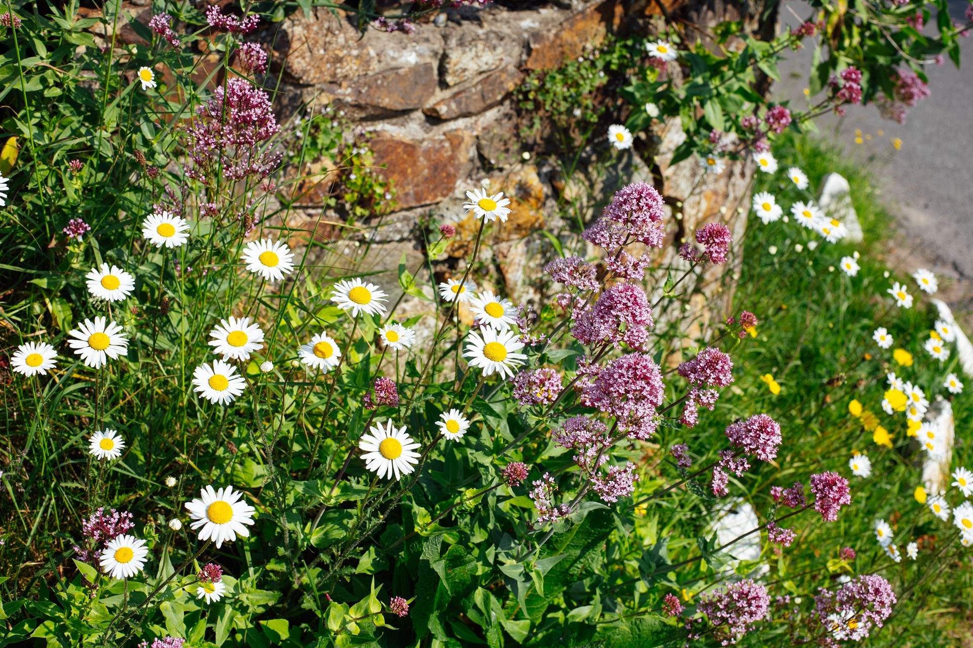 Stroll the surrounding pretty country lanes. 
