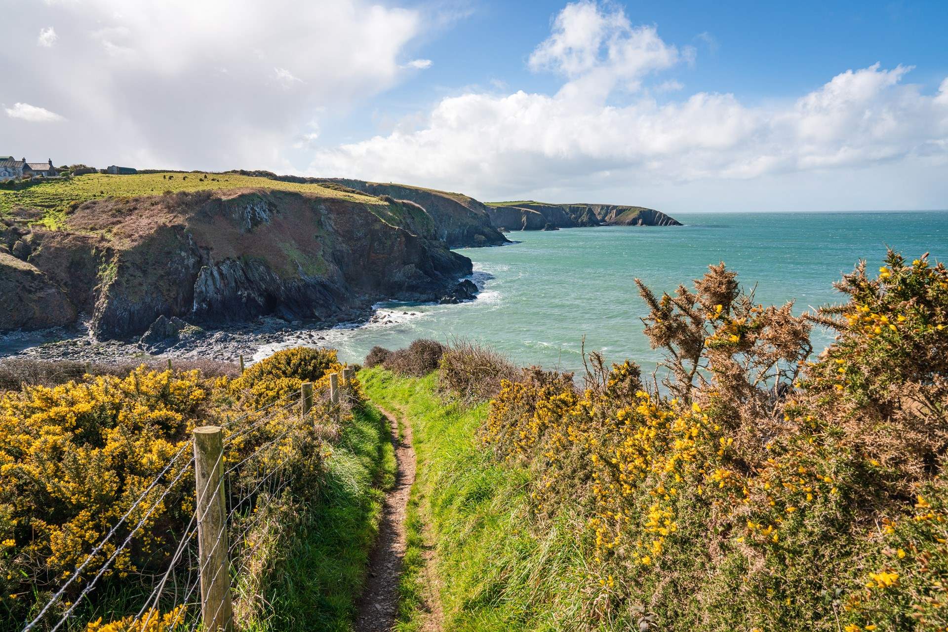 Discover craggy coves and swathes of golden sands along the dramatic Pembrokeshire Coast Path. 