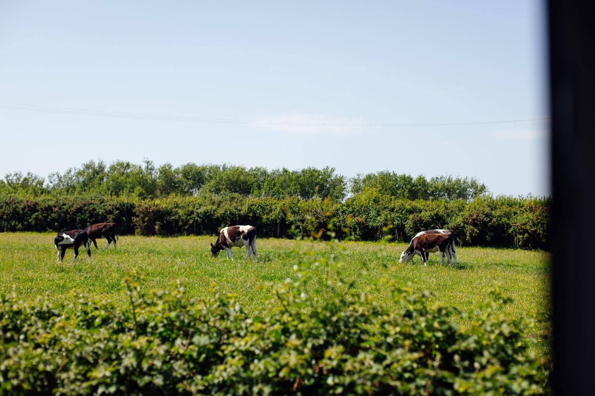 Out West Pembrokeshire is immersed in the beauty of the surrounding rural and coastal location. 
