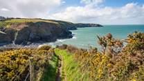 Discover craggy coves and swathes of golden sands along the dramatic Pembrokeshire Coastal Path. 