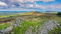 Explore the Preseli Mountains and take in the far reaching Pembrokeshire views. Catch a boat from New Quay for a dolphin spotting trip. 