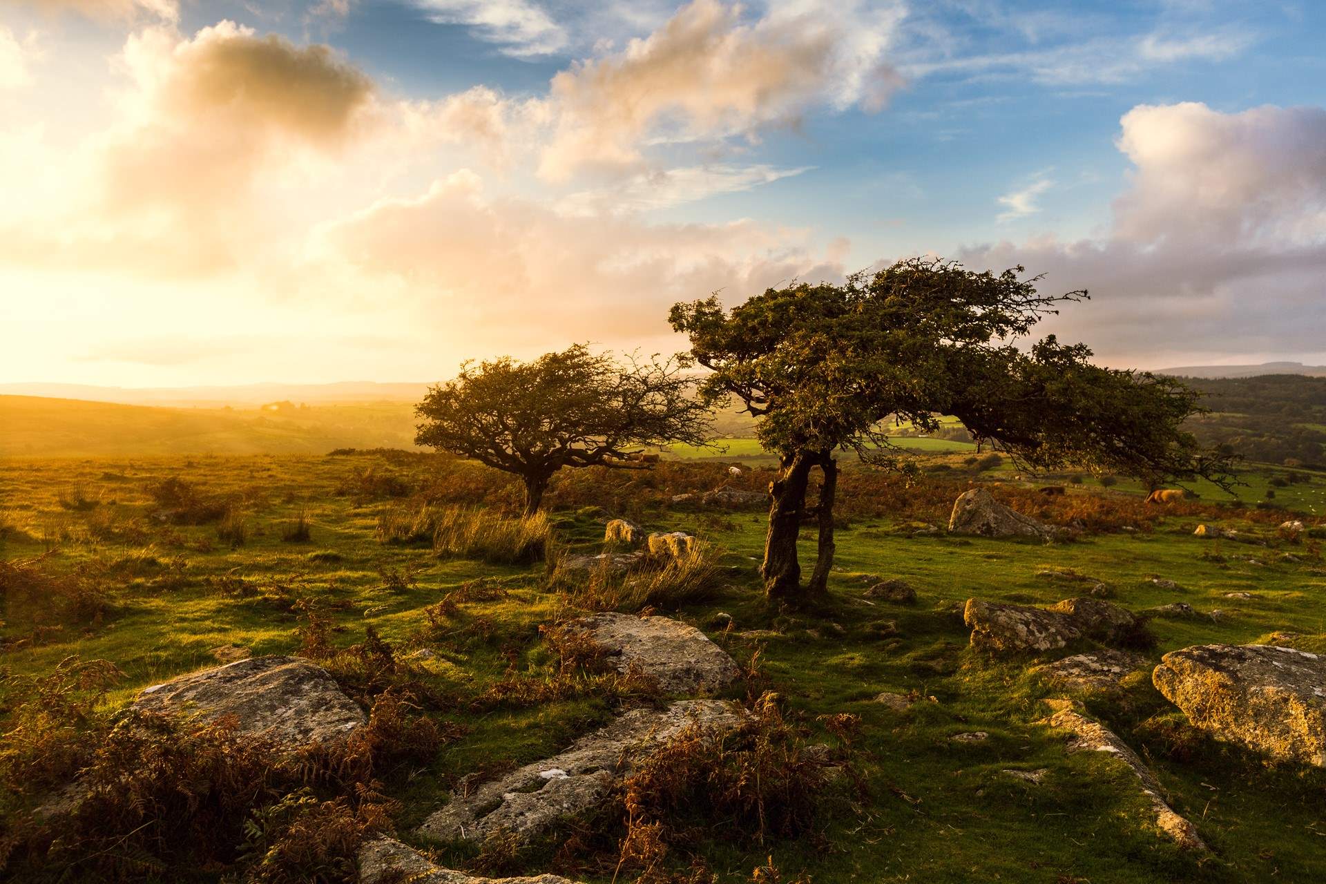 The stunning Dartmoor landscape is waiting to be discovered.