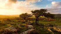 The stunning Dartmoor landscape is waiting to be discovered.