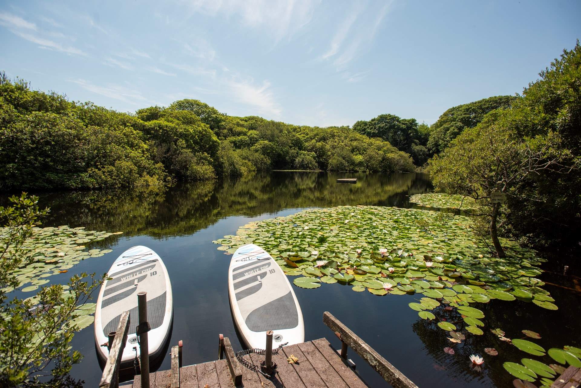 The breathtaking wild swimming lake, clear water surrounded by peace, wildlife and stunning scenery. You may meet the visiting heron.
