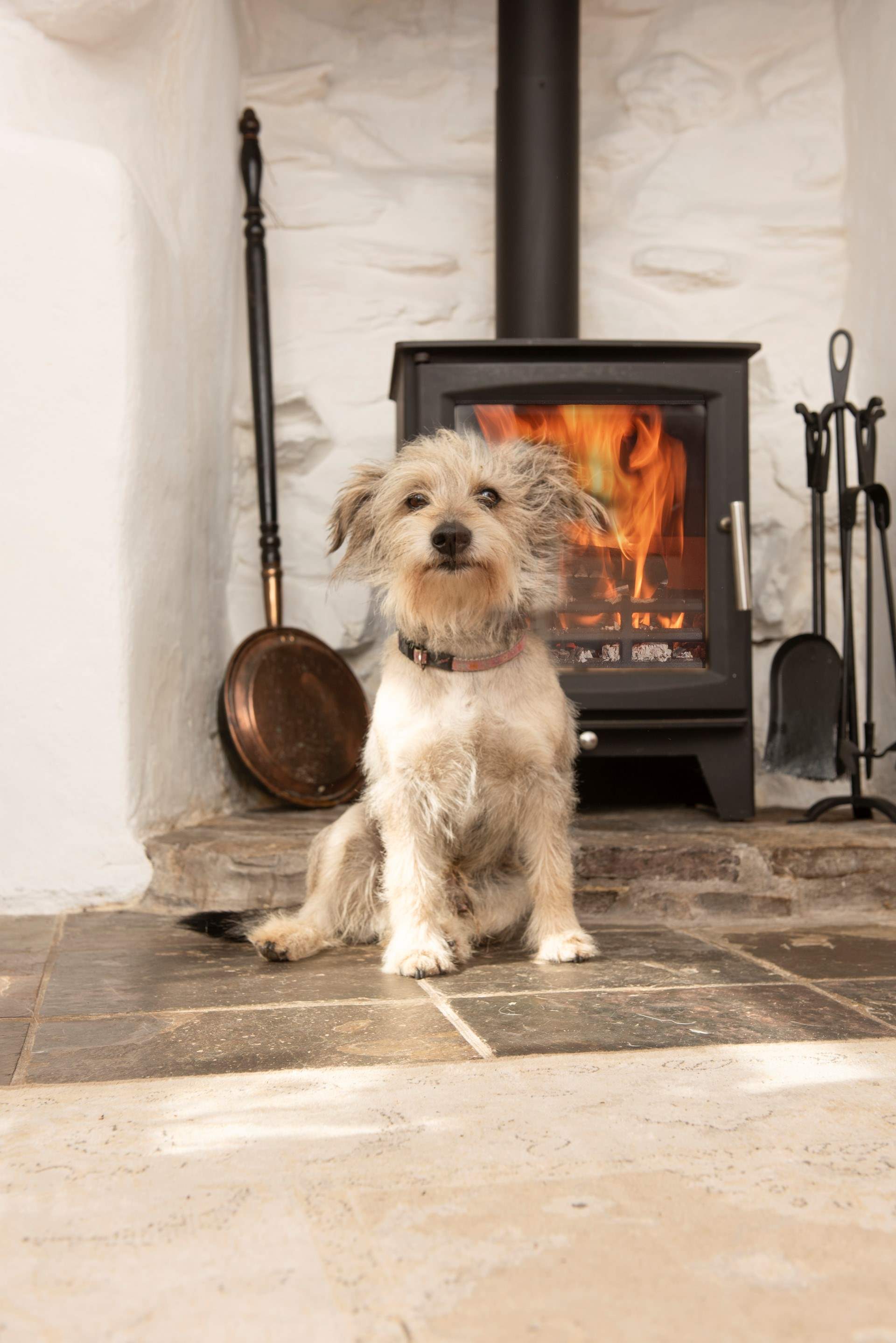 Your four-legged friends are more than welcome at Porto Cottage. 