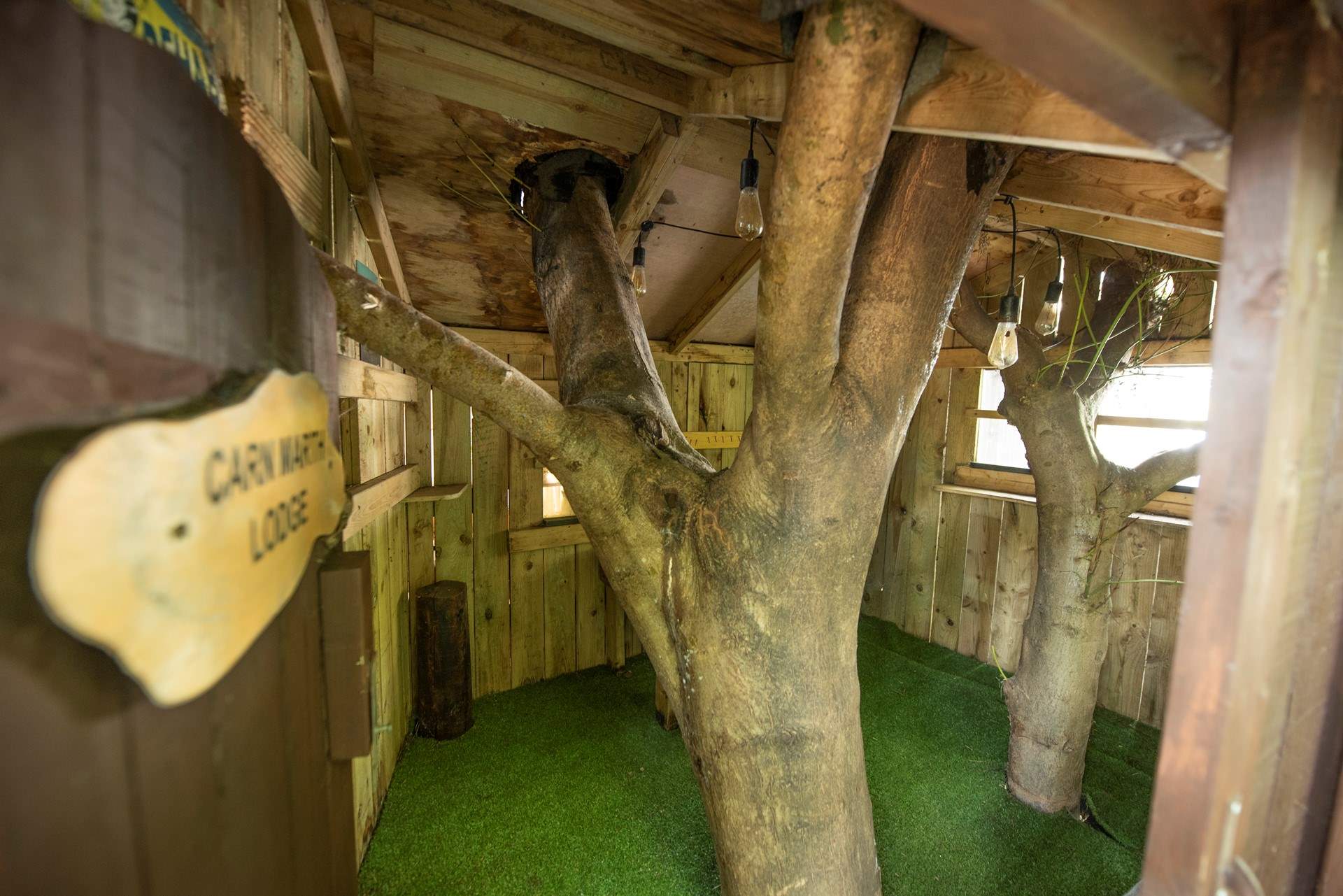 Discover the ultimate play space.