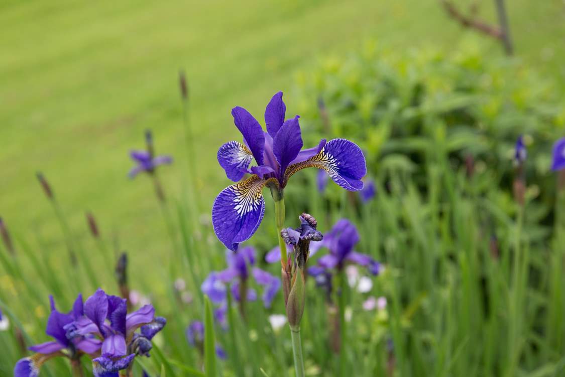 Another colourful specimen ready to brighten up your day.