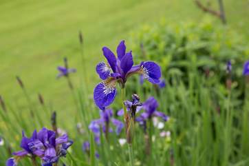 Another colourful specimen ready to brighten up your day.