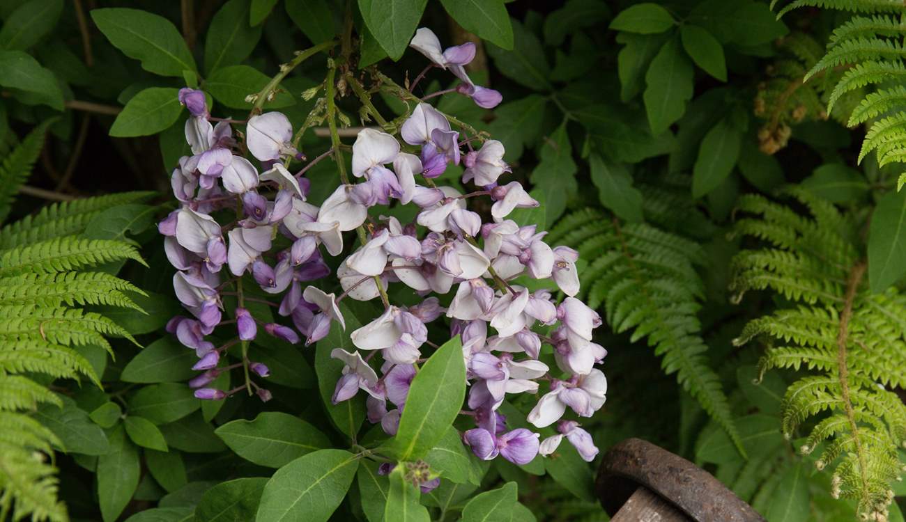 One of the colourful displays of mother nature.