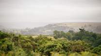 The views stretch across the the North Yorkshire Moors.