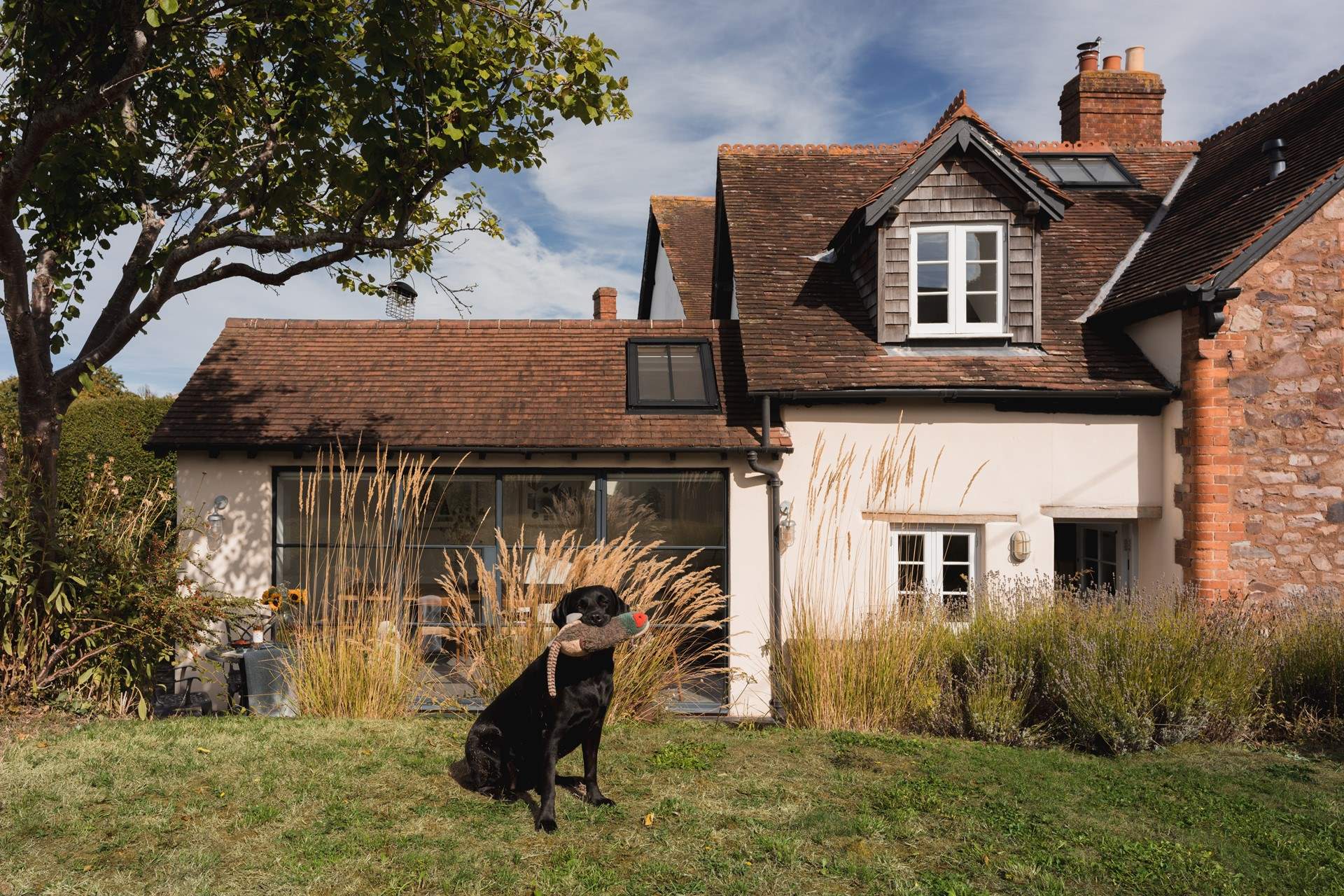 Your four-legged friends will love it here!