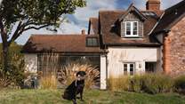 Your four-legged friends will love it here!
