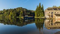 Enjoy leisurely walks around the National Trust's Cotehele Estate.