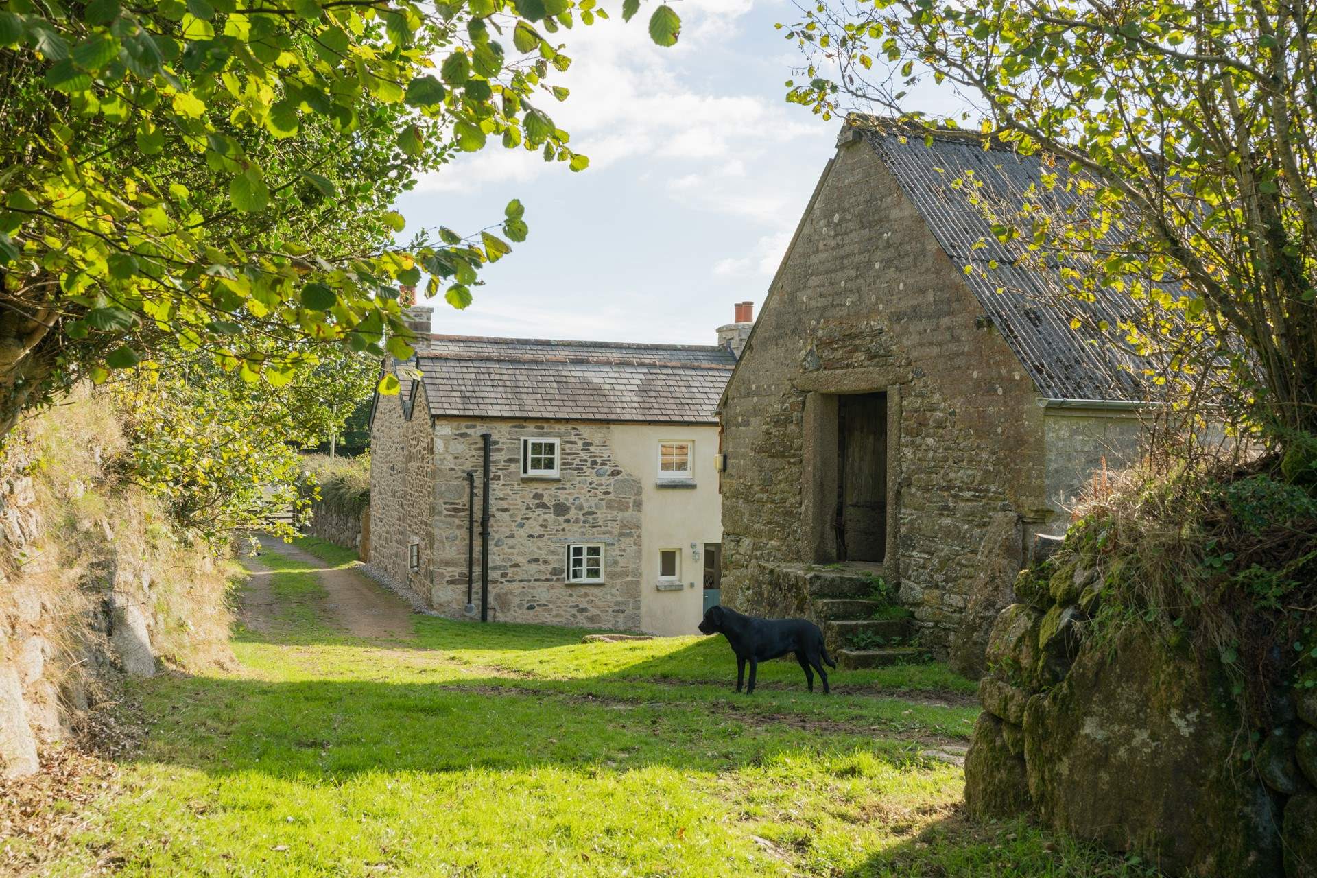 We know your family dog will be very happy exploring the space, whilst remembering that Dartmoor is home to many wonderful animals.  