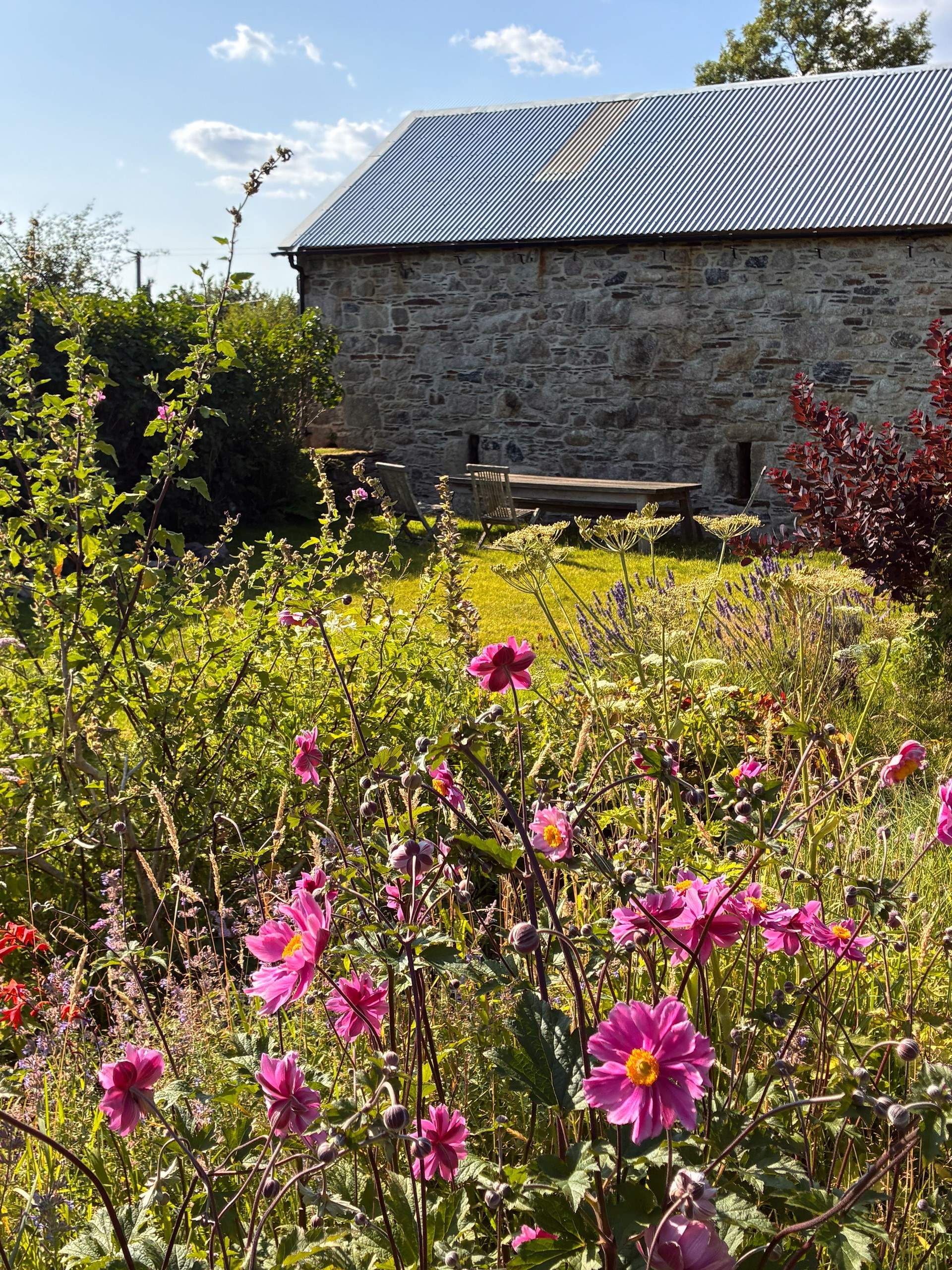 A wild cottage garden awaits.