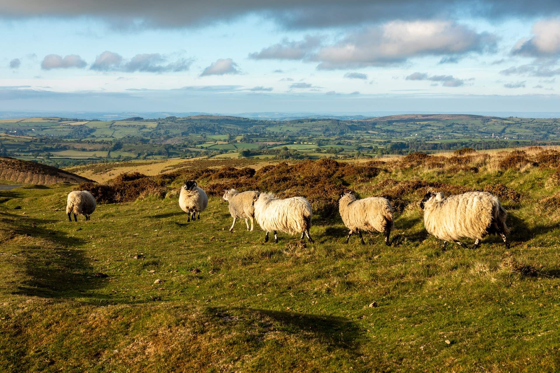 Beautiful Dartmoor.