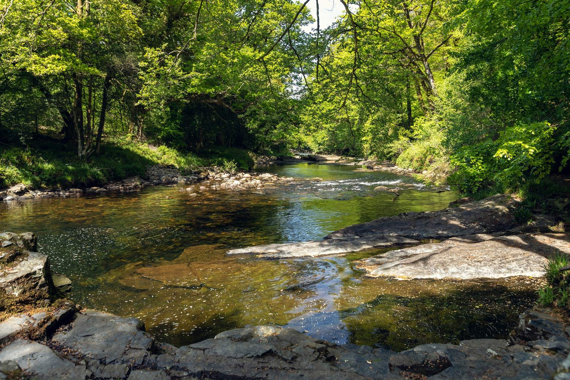 Wonderful woodland walks and spots for wild swimming.
