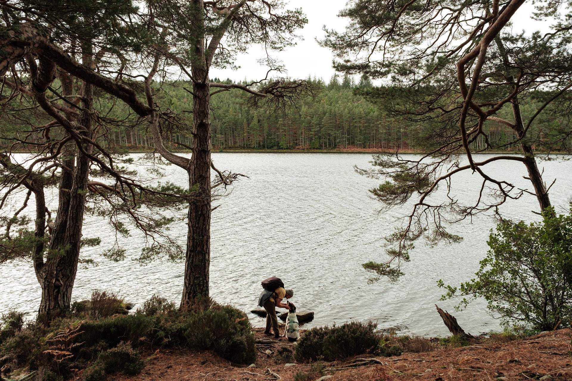 Stroll along the banks of Loch Migdale or take a bracing cold water dip. 