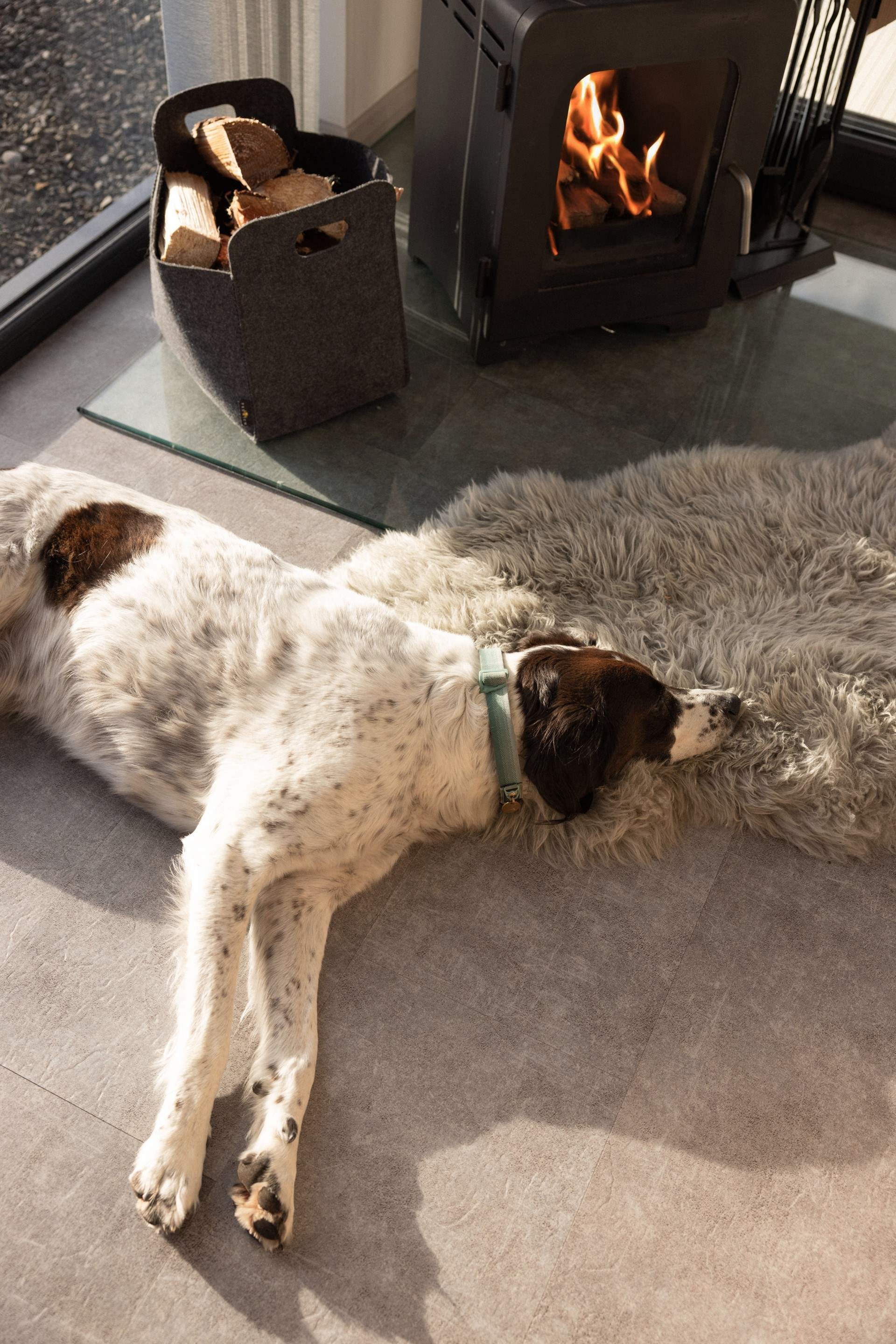 The perfect spot for your pooch. 