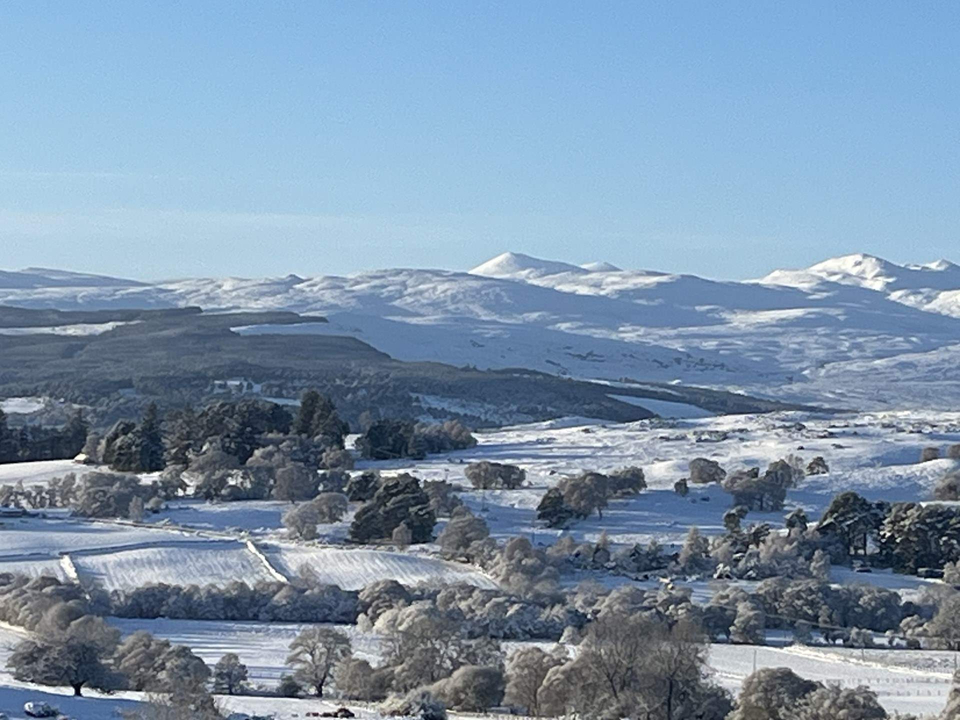 Snowy scenes in winter. 