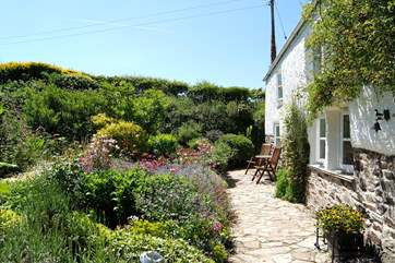 The front garden is a riot of colour during spring and summer.